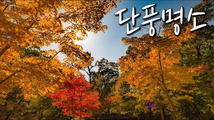 서울-경기-단풍-명소
