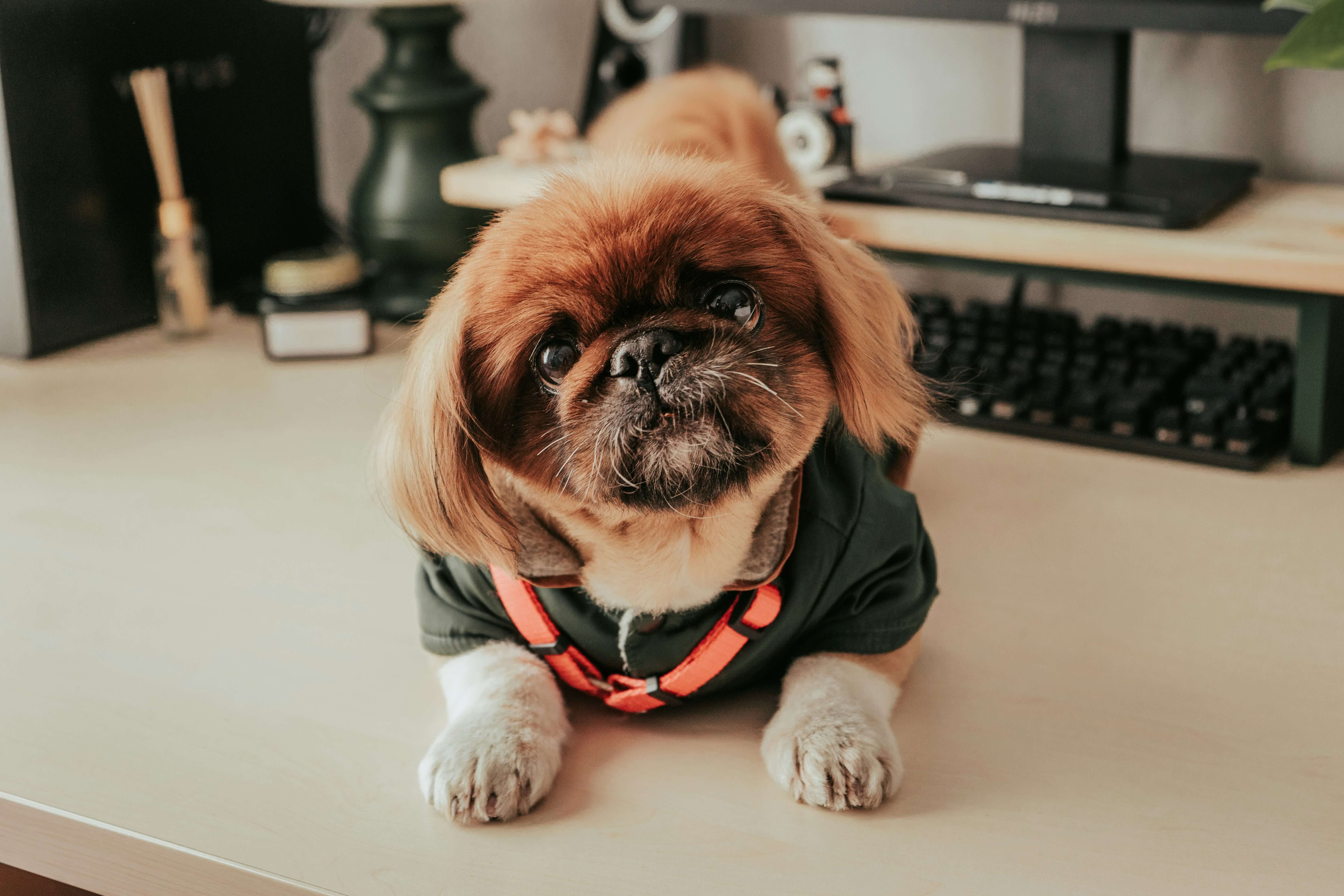 절대 피해야 할 위험 상황