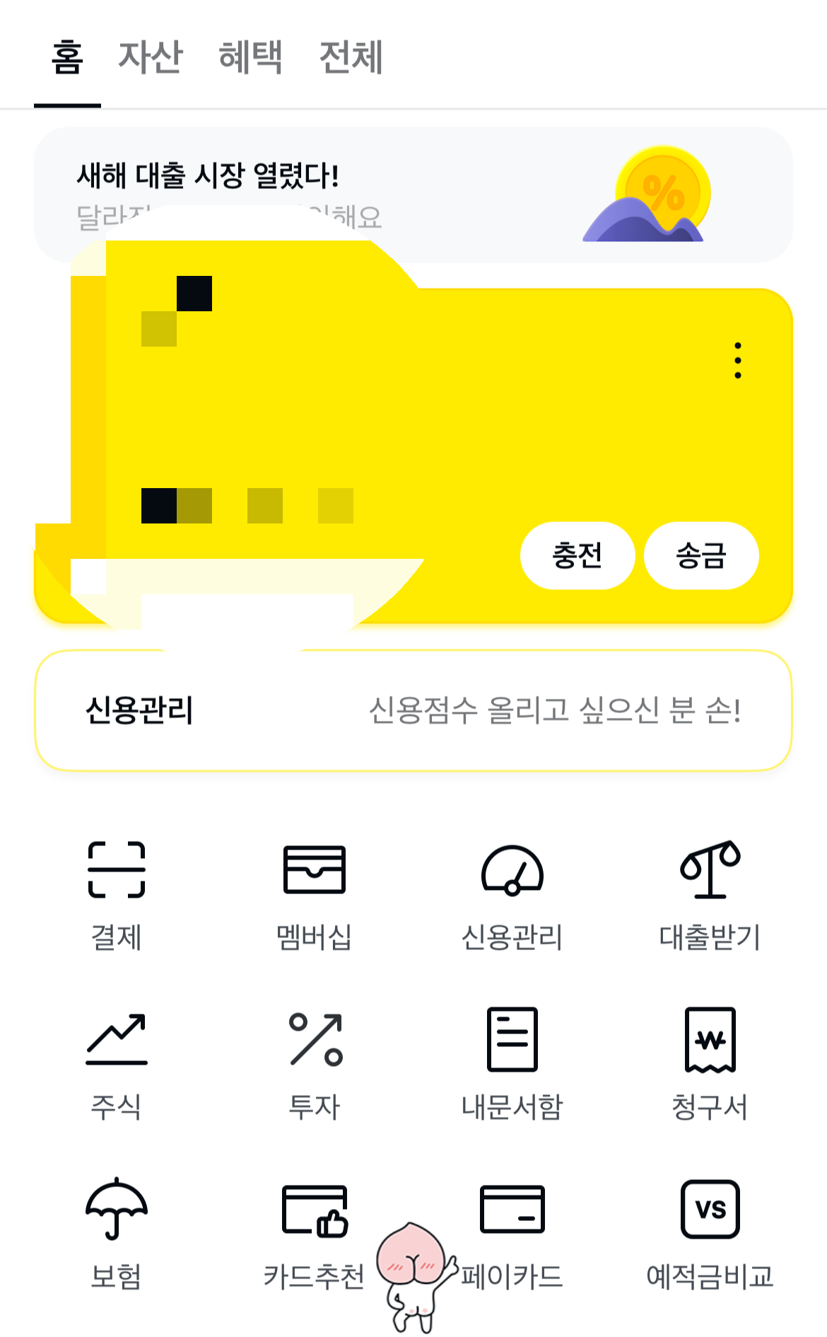 카카오페이 신용카드 발급방법 화면예시