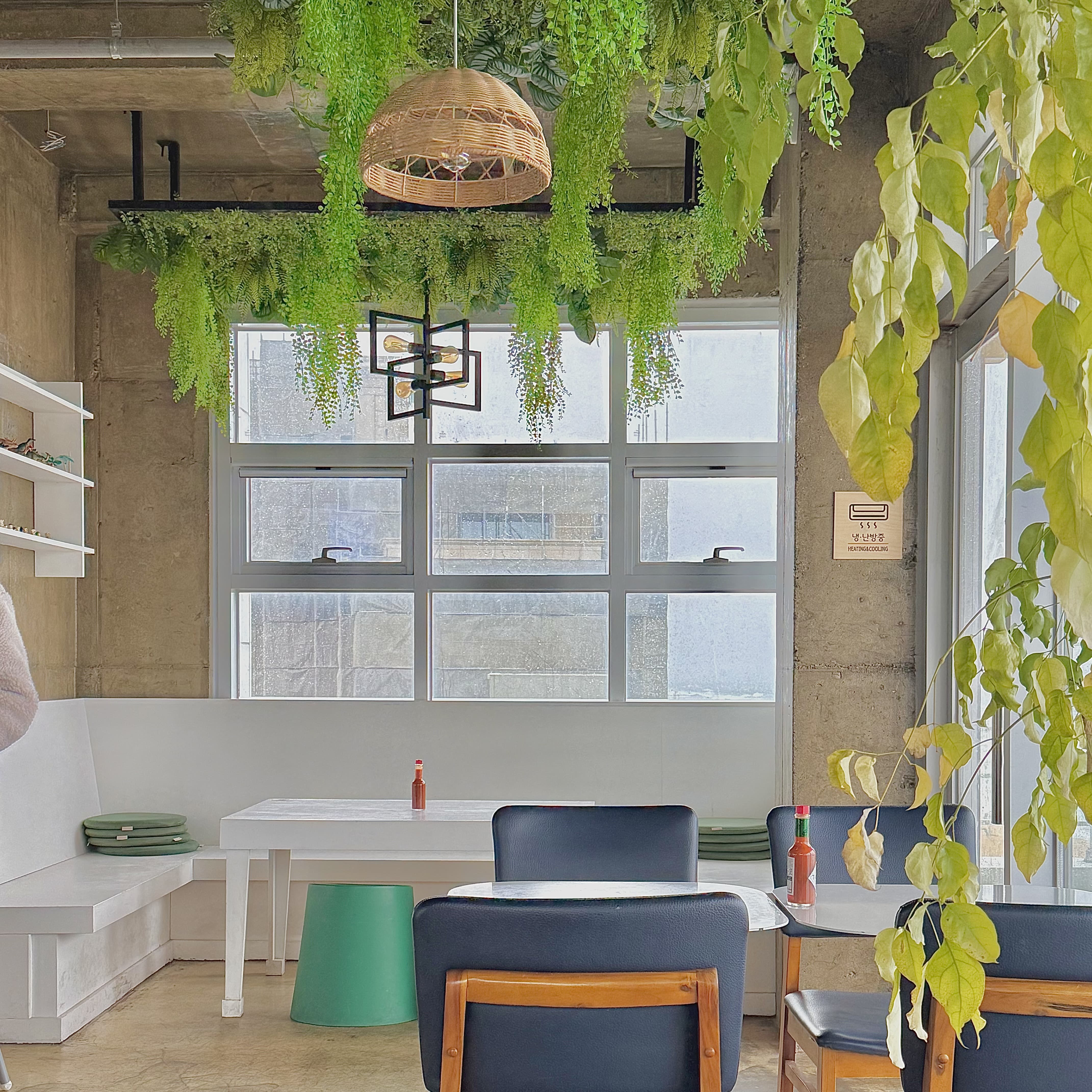 피앤비코 안목해변 맛집