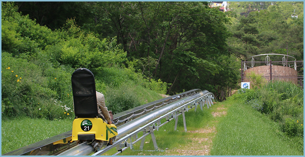 만천하-액티비티