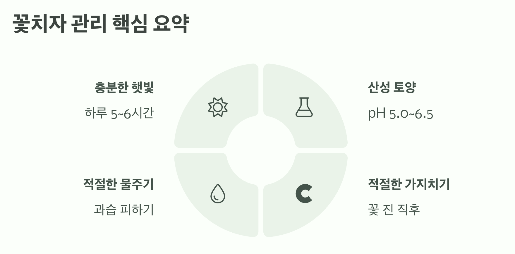 꽃치자 관리 핵심 요약