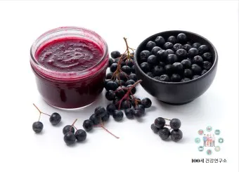 아로니아 효능 칼로리 권장섭취량_16
