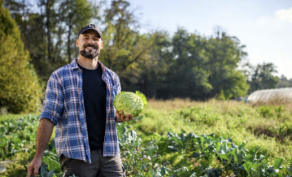 콜라비 효능과 먹는 방법, 요리법 완벽 정리!