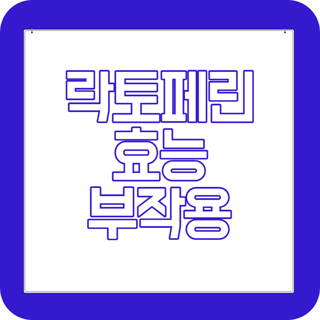 락토페린 효능 부작용 섭취방법