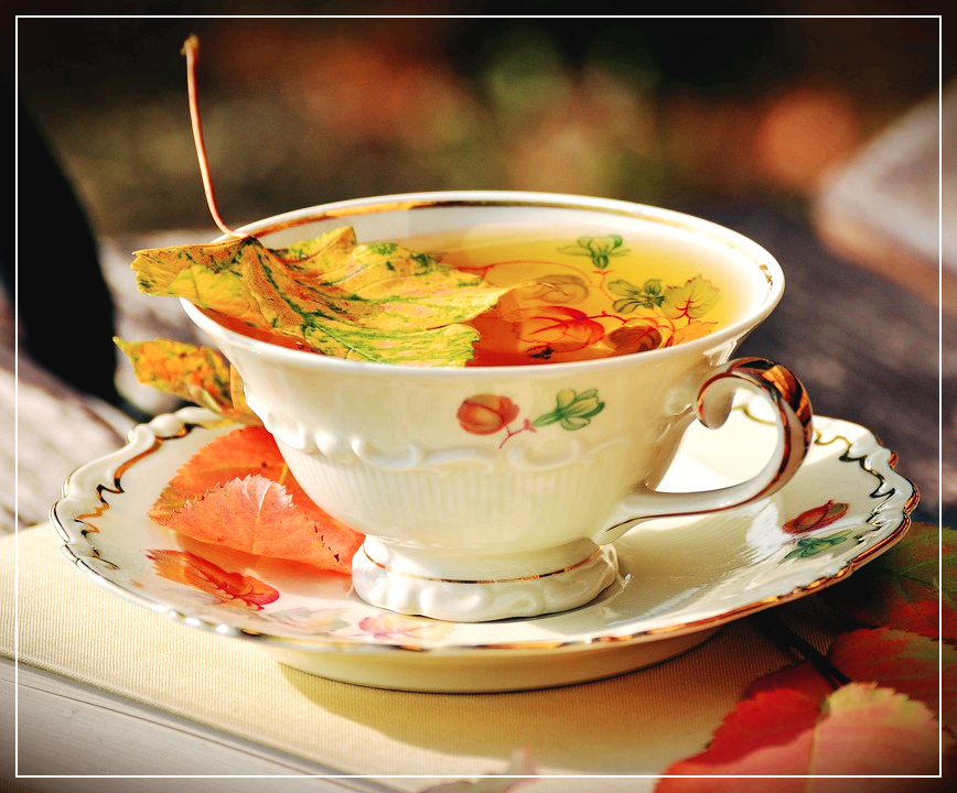 감기에 좋은 음식