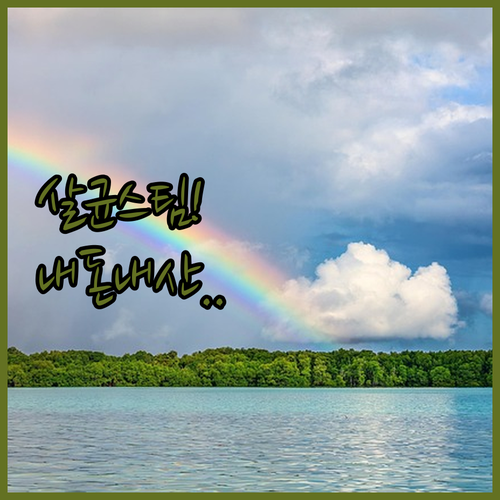 바닥 살균 스팀청소기 내돈내산 리뷰와..