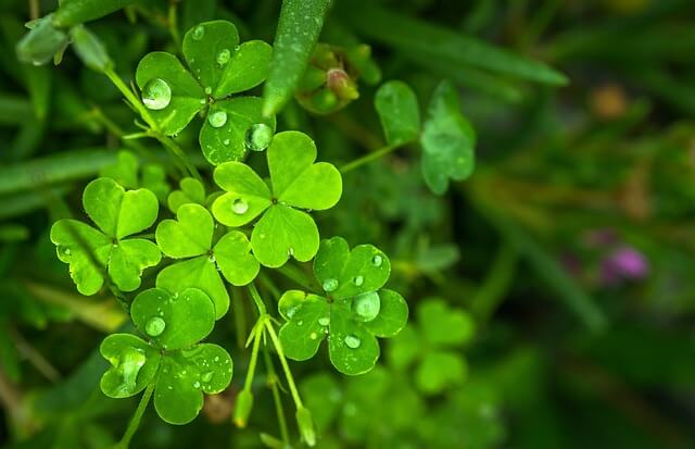 수능