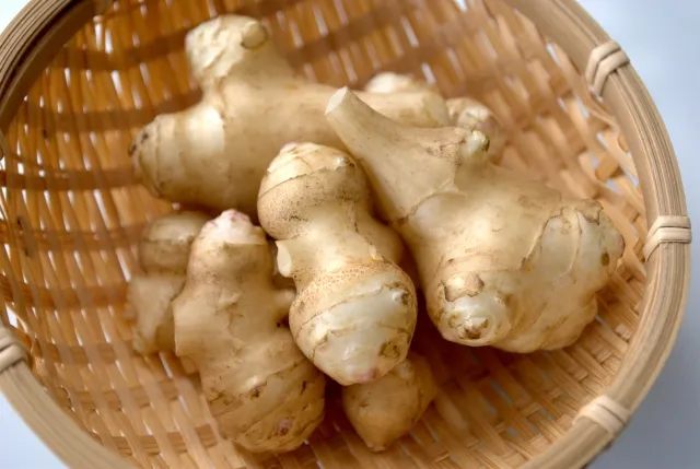 돼지감자 속이 더부룩할 떄 좋음