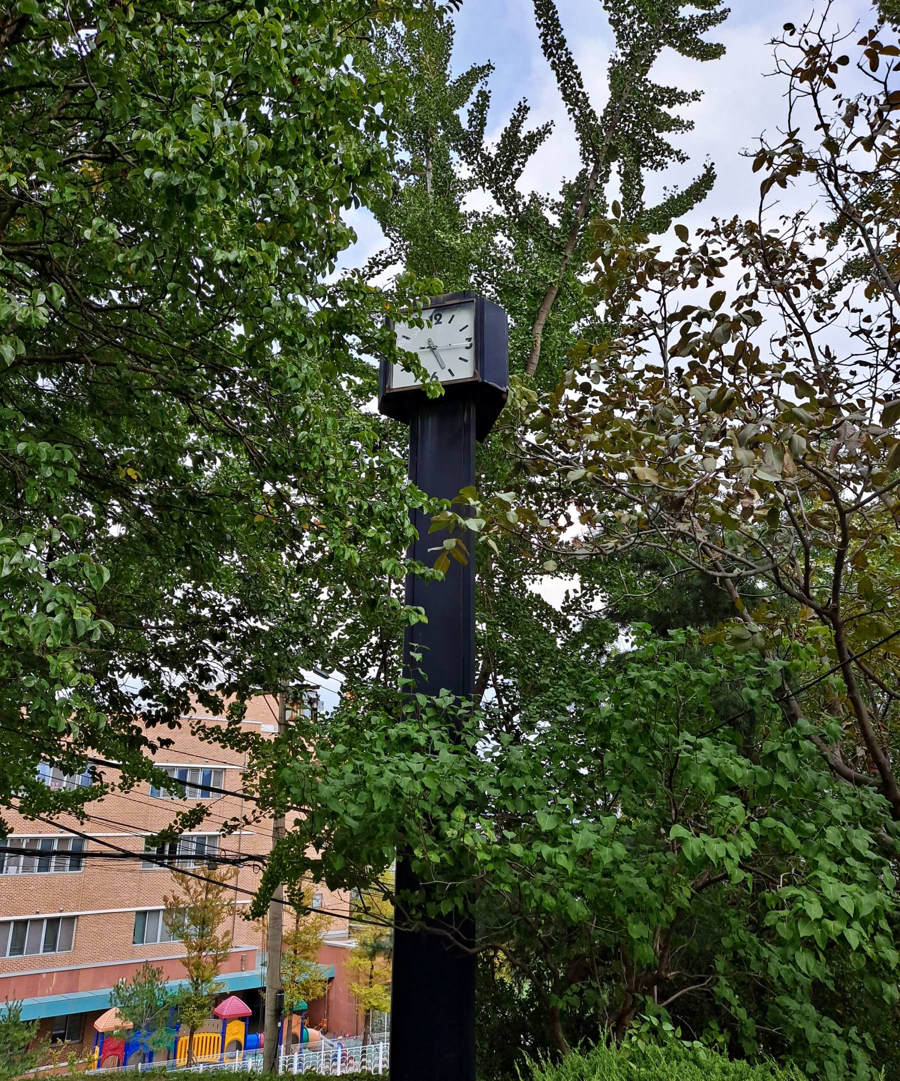 나무들 사이로 시계탑