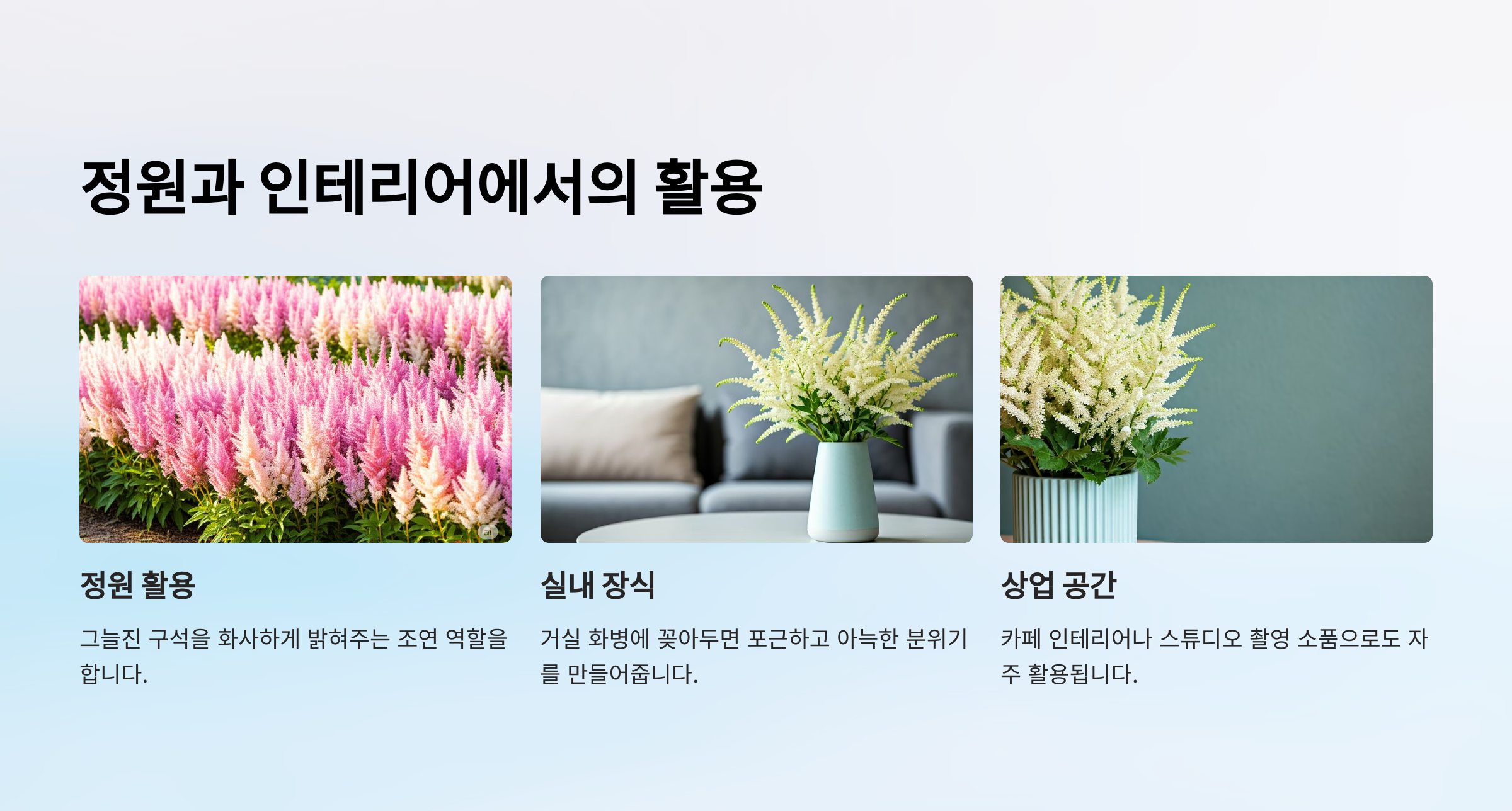 아스틸베