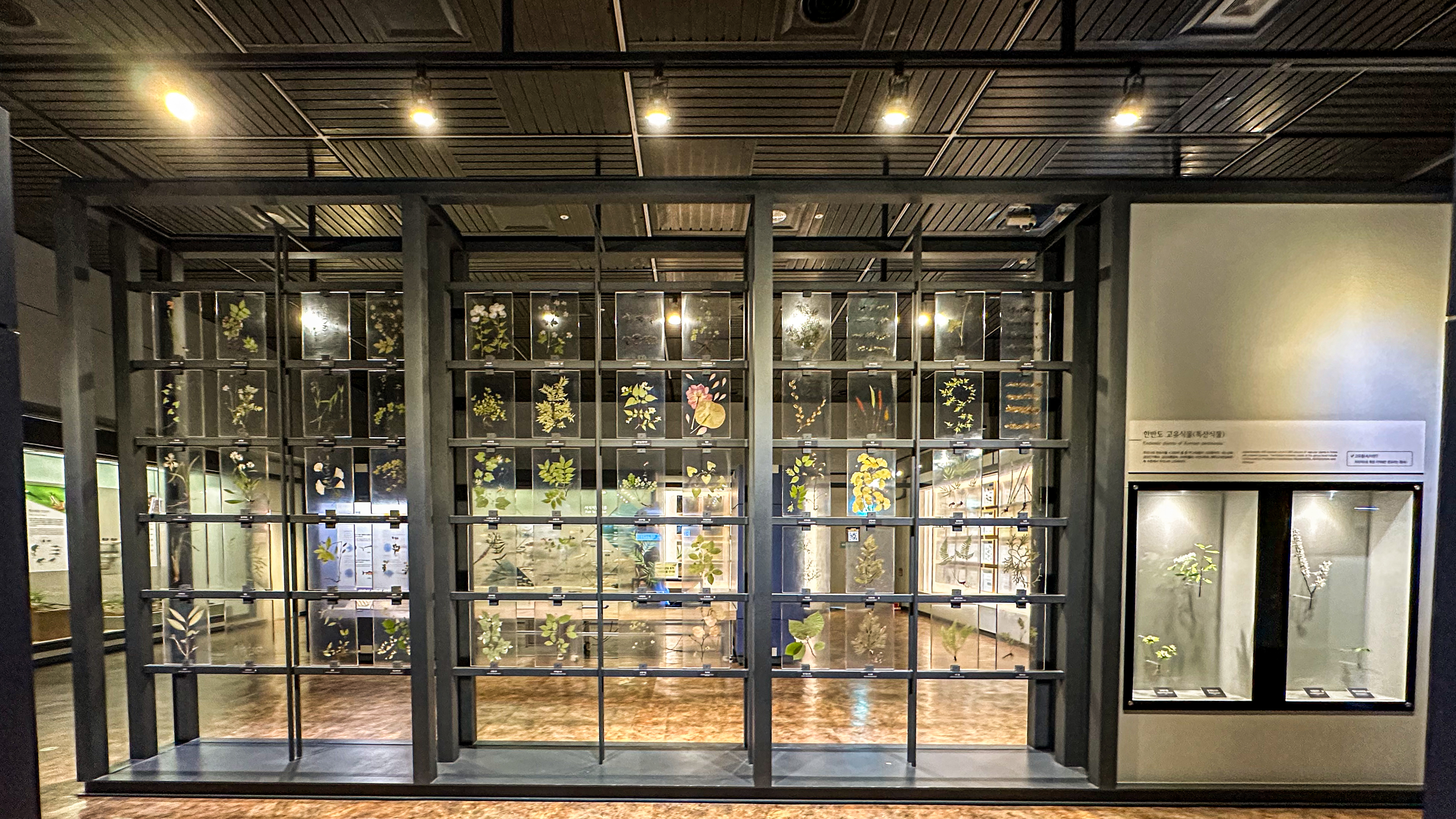 국립 중앙 과학관