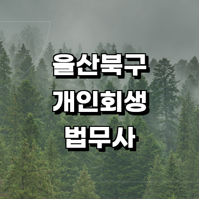 울산 북구 개인회생 법무사