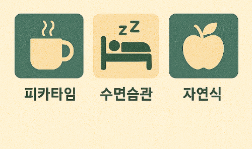 북유럽 건강비결 (피카타임, 수면습관, 자연식)