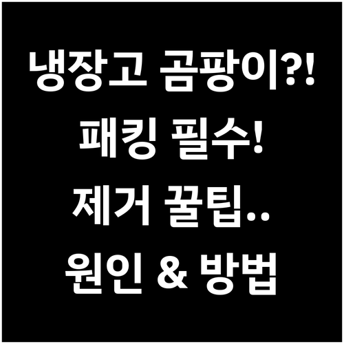 냉장고 패킹 곰팡이 생기는 이유와 확..