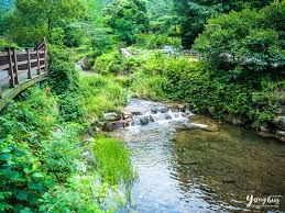  전남 장성 &lsquo;축령산 계곡&rsquo; 사진