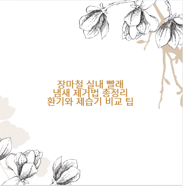 장마철 실내 빨래 냄새 제거법 총정리 환기와 제습기 비교 팁