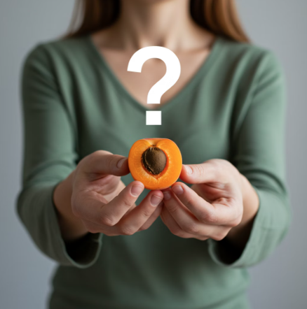 자주 묻는 질문 Q&A 1