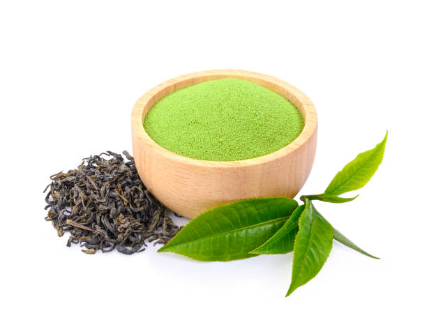 녹차추출물 효능