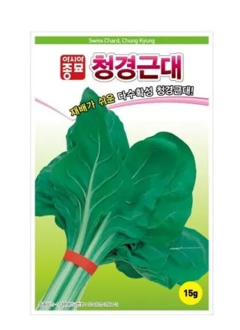 근대 재배 잎 따기 간격 유지 연속 수확_12