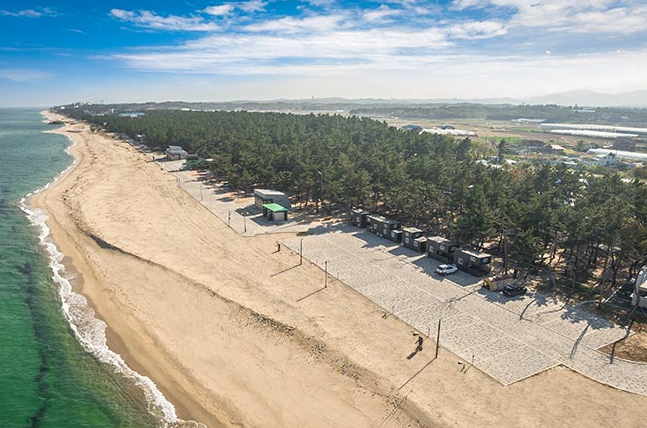 연곡 솔향기 캠핑장