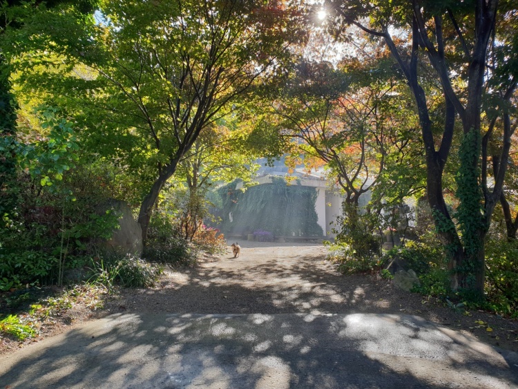 뉴트로 감성 뿜뿜! 폐교의 아름다운 변신 미술관 충남 당진 가볼만한 곳
