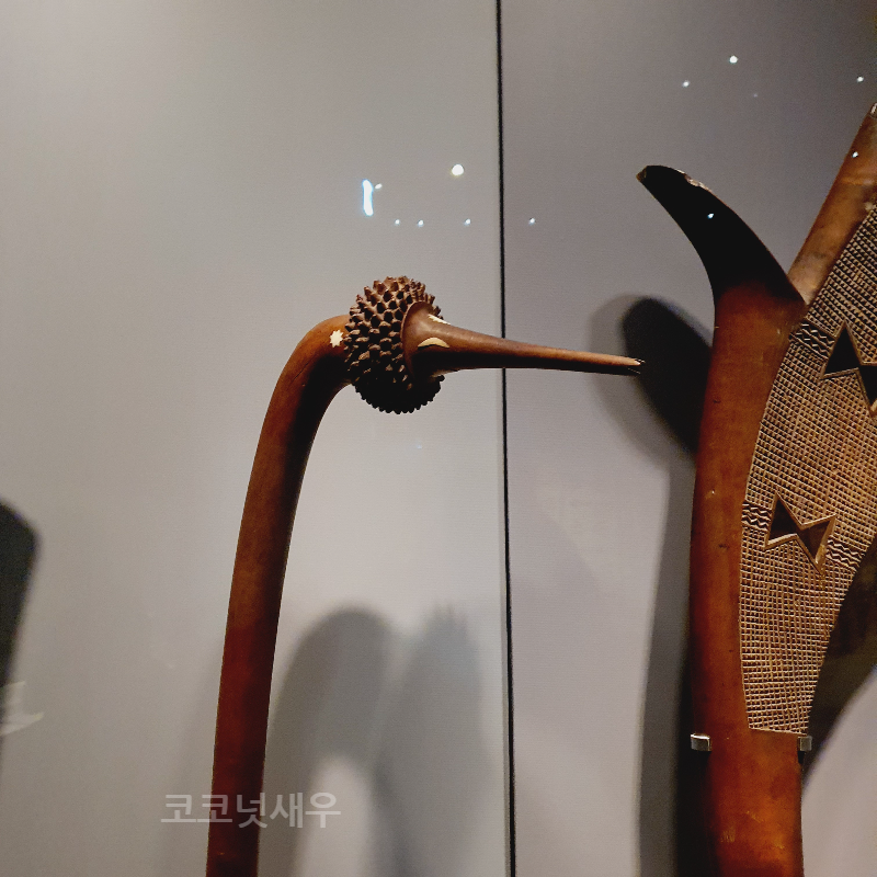 토토키아 보노타부아