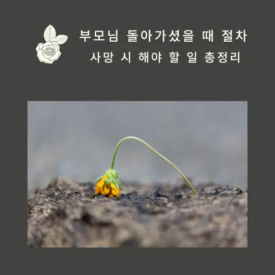 부모님 돌아가셨을 때 절차