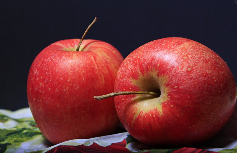 사과의 모습