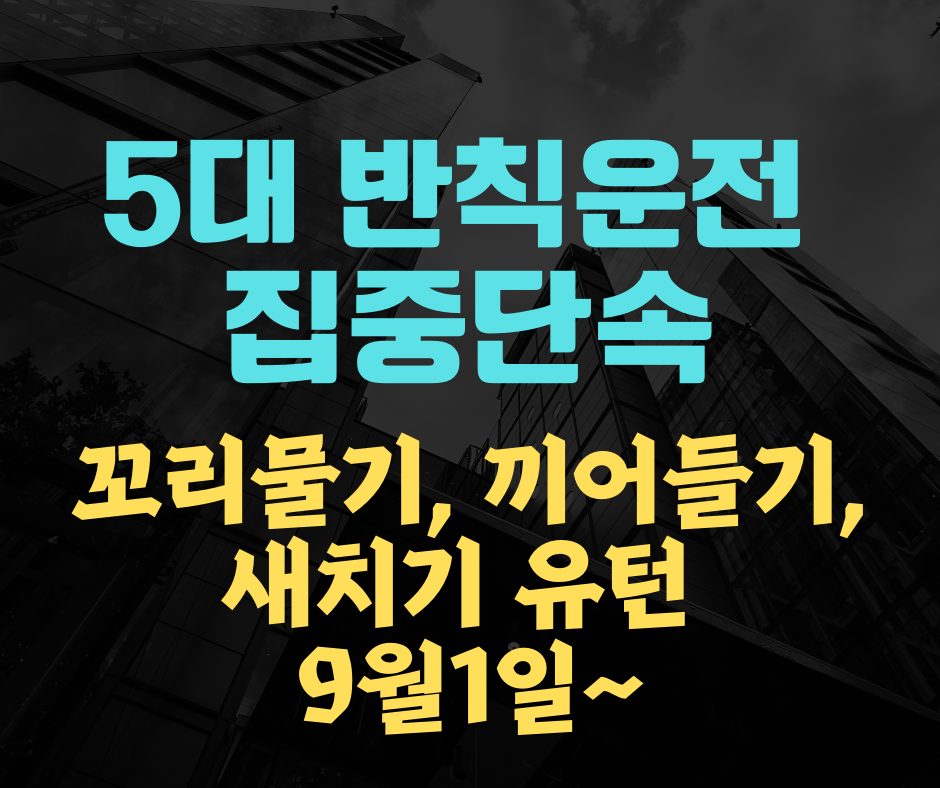 5대 반칙운전 집중단속(+ 꼬리물기, 끼어들기, 새치기 유턴)