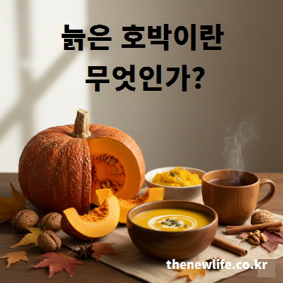 늙은 호박이란 무엇인지 개념을 설명하는 이미지