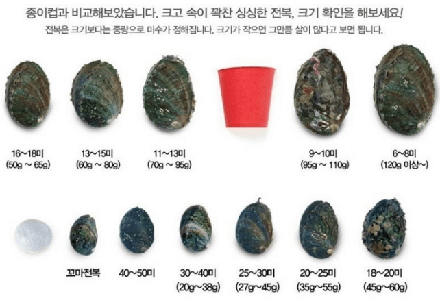 싱싱한 전복 고르는 법