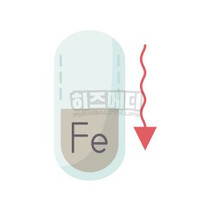 빈혈 증상 원인