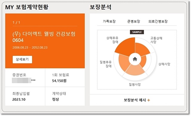 다이렉트 웰빙 건강보험06004