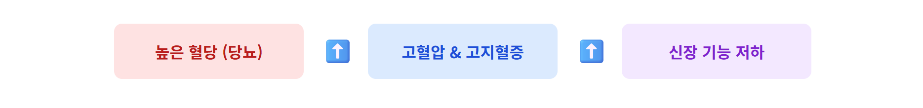 당뇨 고혈압 고지혈증 신장 을 한눈에 보이는 이미지