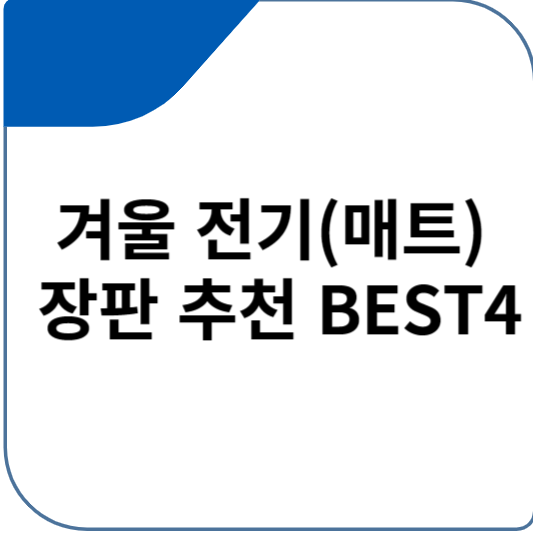 겨울 전기 장판 추천 BEST4