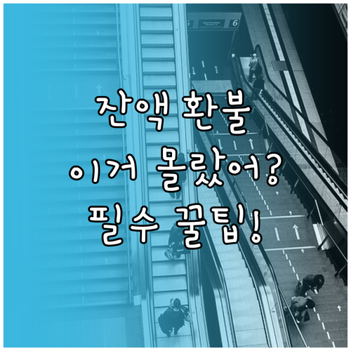 T-money 구매 충전부터 잔액 환..