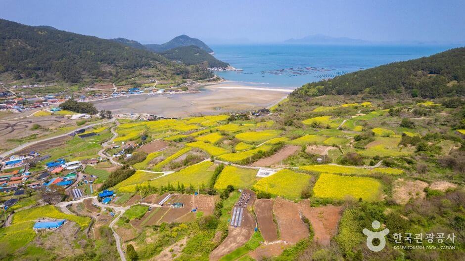 완도 가볼만한곳 베스트 10