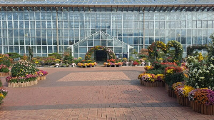 화성_우리꽃식물원_국화전시회