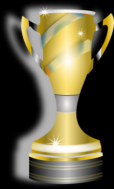 1회 우승 팀: FC 불나방