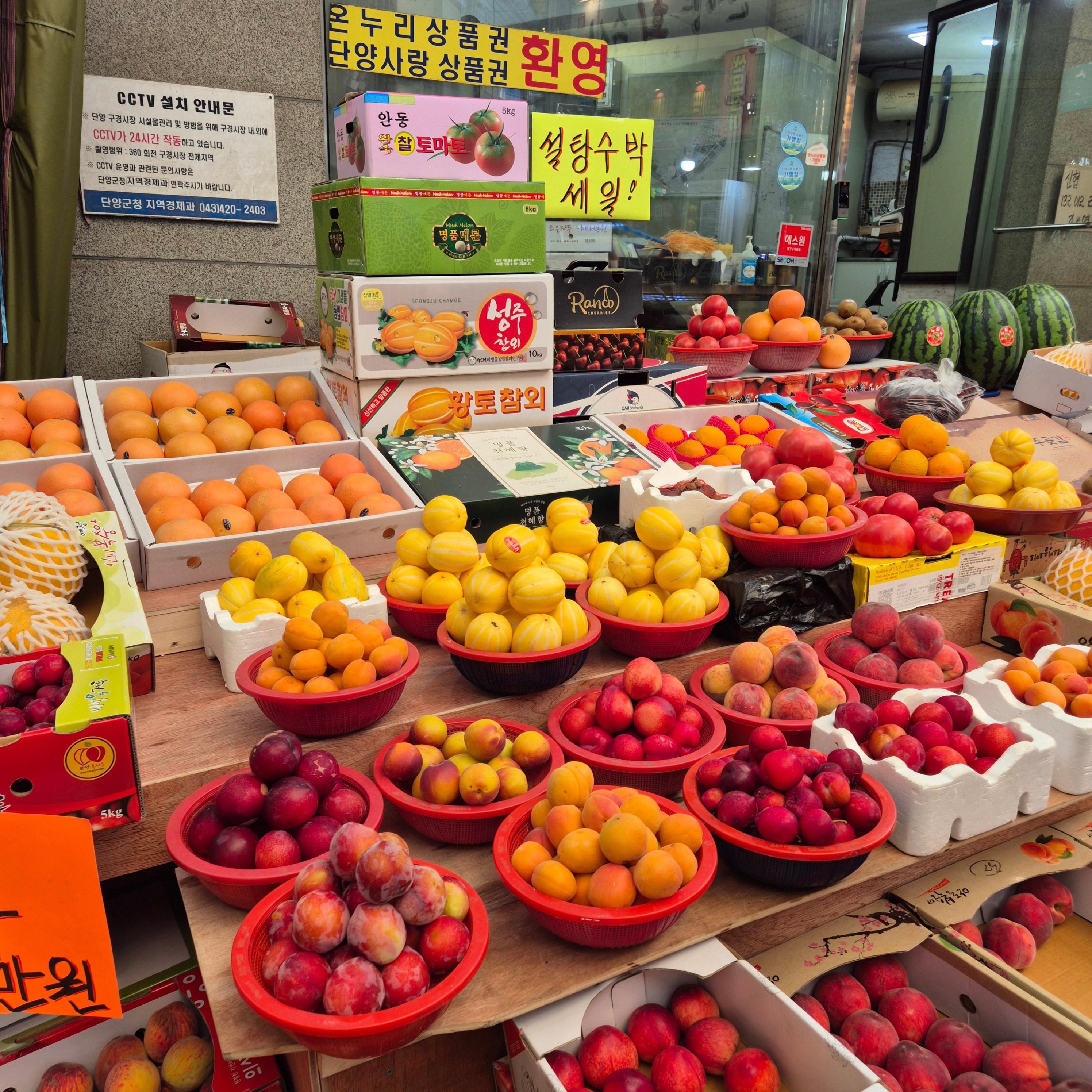구경시장&amp;#44; 단양 구경시장&amp;#44; 충청도 순대&amp;#44; 순대전골&amp;#44; 훈이네 마늘빵&amp;#44; 오성통닭&amp;#44; 단양 닭강정&amp;#44; 흑마늘 아이스크림&amp;#44; 단양 마늘만두&amp;#44; 구경시장 주차 