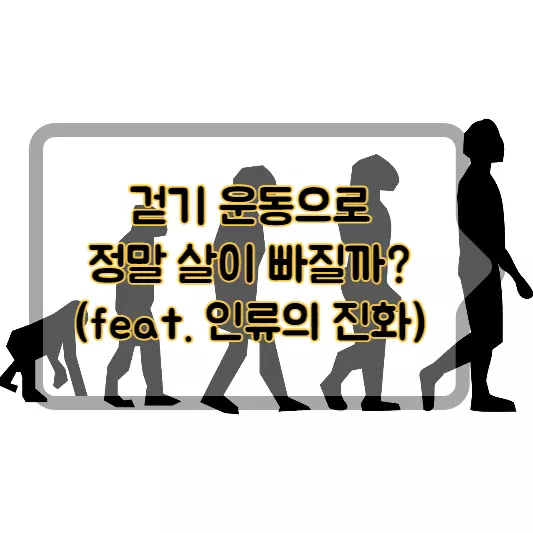걷기-운동으로-살빼기