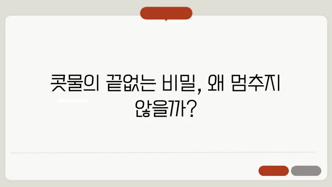 콧물이 계속 나는이유