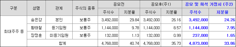 최대주주 주분현황