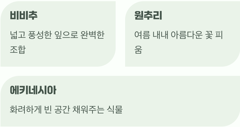 다음 무대의 주인공, 여름 식물