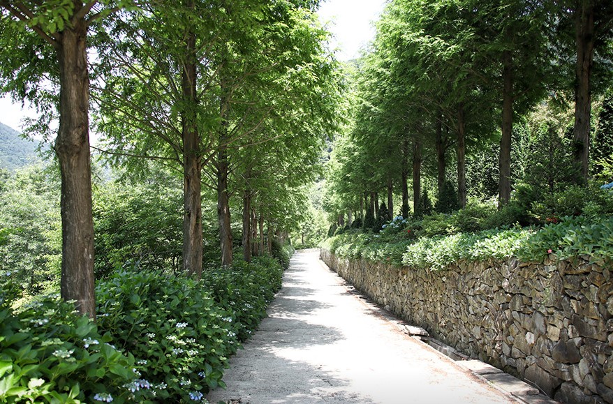 고성 그레이스 정원