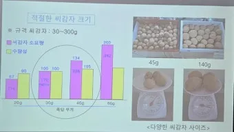 파종 도구 선택 파종기 호미 삽 흙손 사용 팁_21