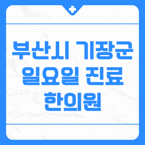 부산시 기장군 일욜일 진료 한의원