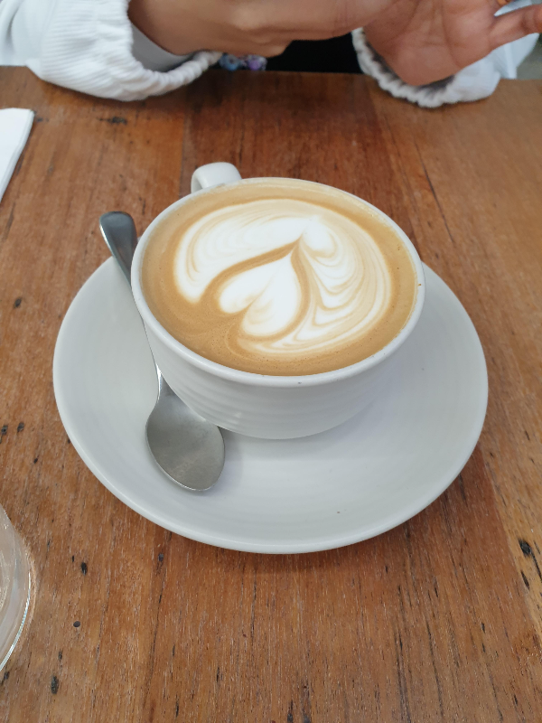 플랫화이트 vs 카페라테 vs 카푸치노 차이_플랫화이트