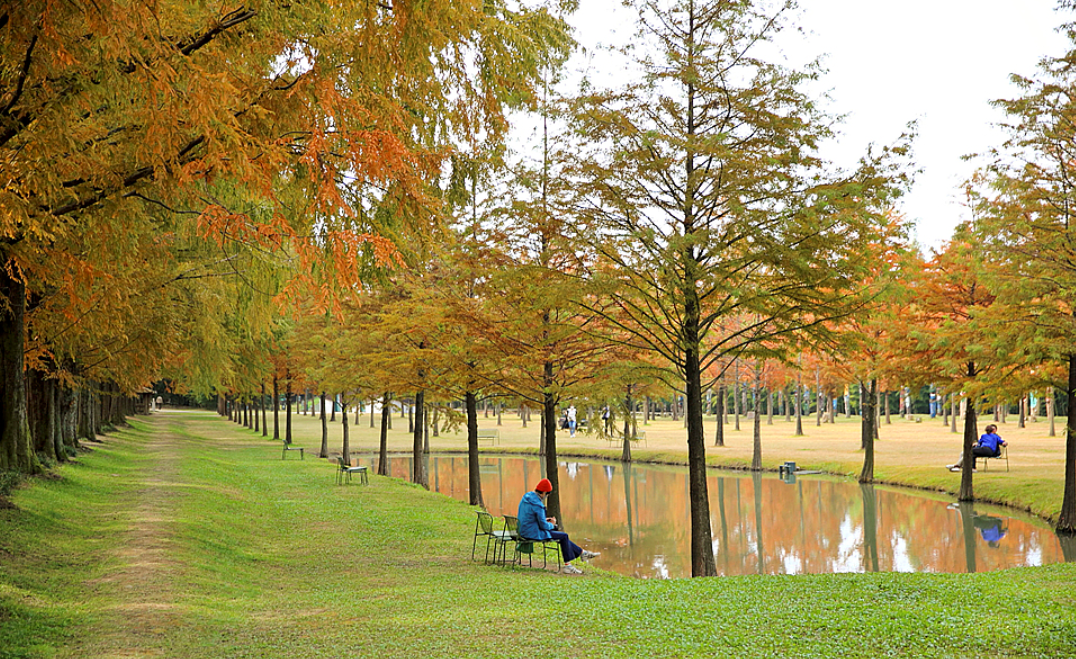 담양 여행 1박2일 코스